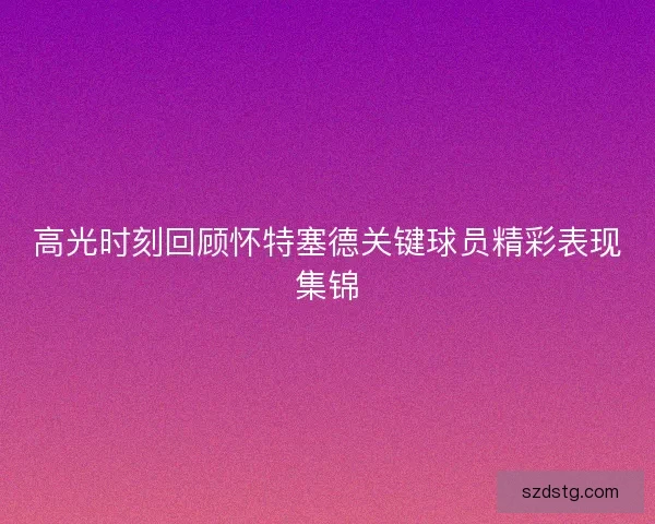 高光时刻回顾怀特塞德关键球员精彩表现集锦