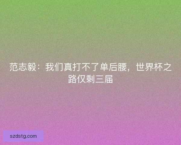 范志毅：我们真打不了单后腰，世界杯之路仅剩三届